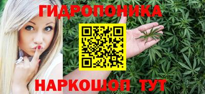 крисы Краснодар